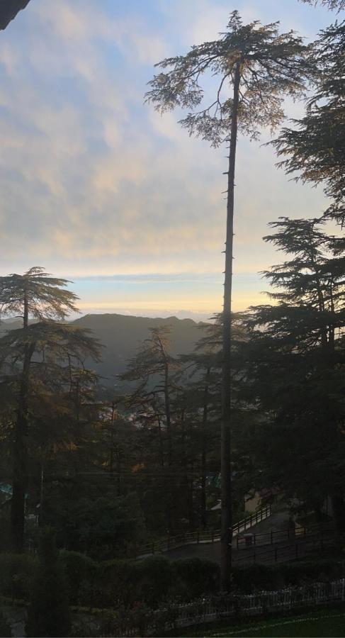 The Edgeworth Bed & Breakfast Shimla Dış mekan fotoğraf